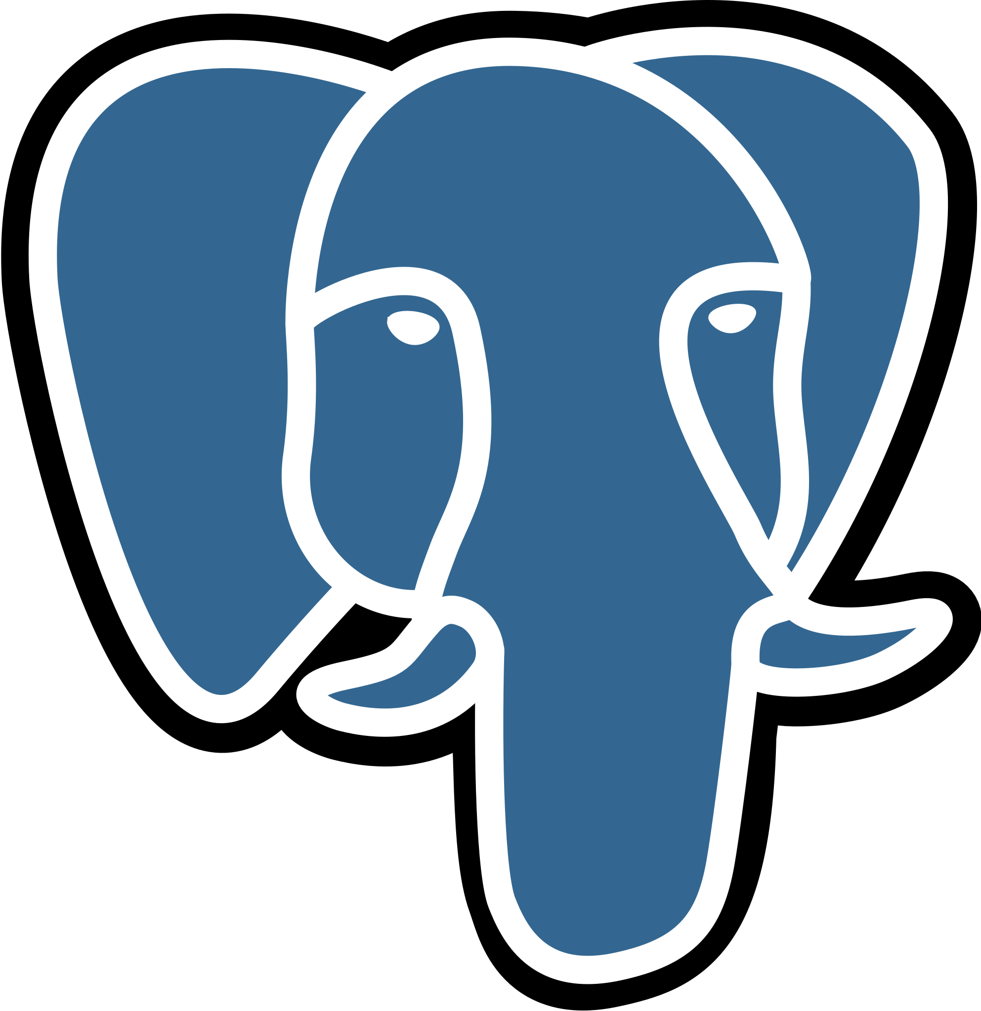 PostgreSQL Database